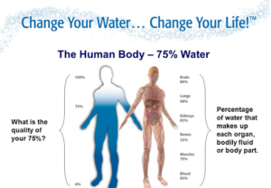 organismos-kaiei-lysi-lipos-nero-h-kalyterh-kai-aplousteri-na-ta-katafereis-men-mensday.gr